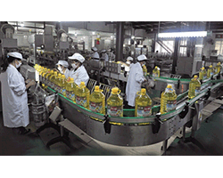 半自动防滴漏型食用油灌装封盖连体机大豆油灌装展示