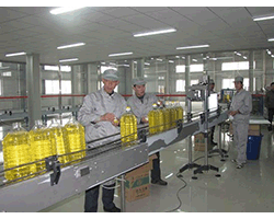脚踏式半自动双头高档食用油灌装机灌装展示